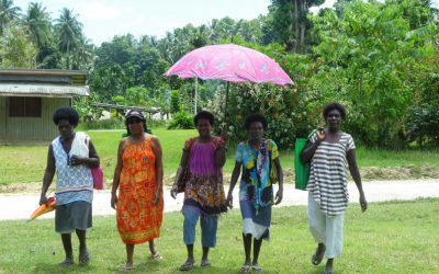 YOU can help build a community care centre in Bougainville