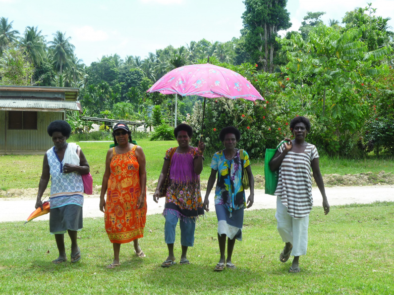YOU can help build a community care centre in Bougainville