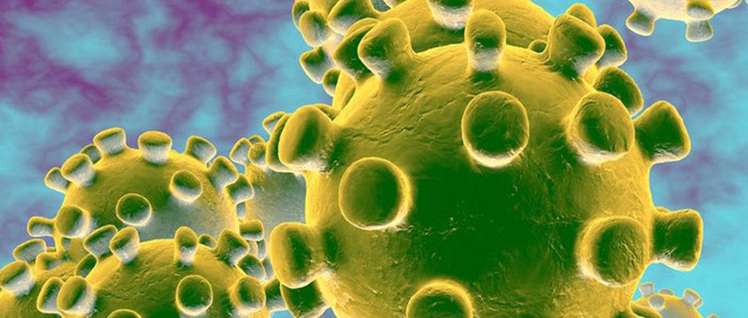 31 New Corona Virus Cases in PNG