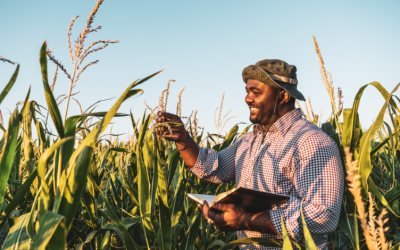 PNG pushes agriculture transformation with AgriConnect, mass participation drive